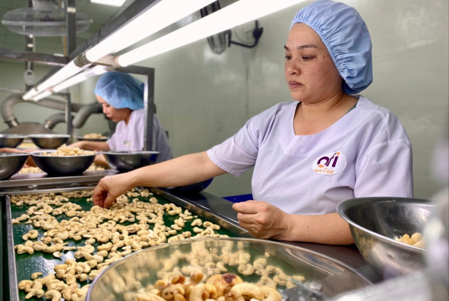 Thành lập Tổ rà soát số liệu đầu vào tính GRDP tỉnh Gia Lai. Ảnh minh họa theo-quy-hoach-tay-nguyen-se-phat-trien-cac-khu-cong-nghiep-chuyen-nganh-dac-biet-ve-linh-vuc-che-bien-nong-san-anh-ha-duy-3285-3431-5443.jpg