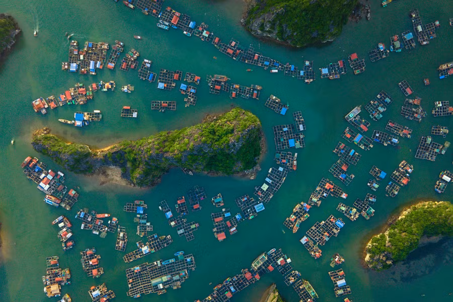 Lồng bè nuôi trồng hải sản của người dân Cát Bà