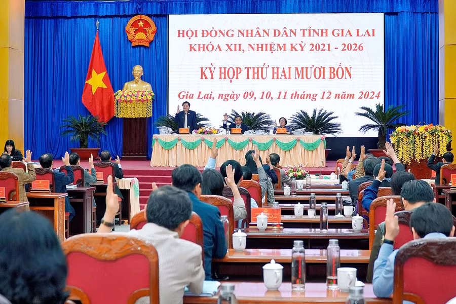 cac-dai-bieu-hdnd-tinh-bieu-quyet-thong-qua-40-nghi-quyet-quan-trong-anh-dt.jpg