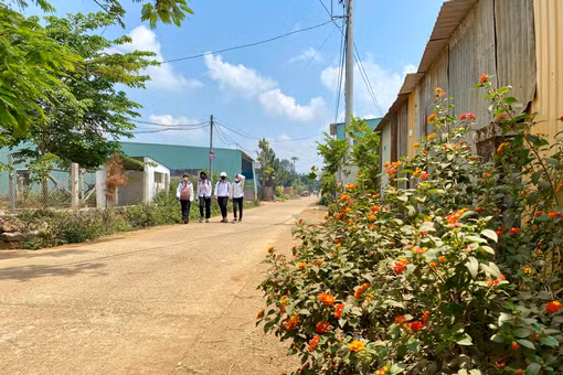 Con đường sạch, đẹp tại làng Bông Phrao (xã An Phú, TP. Pleiku). Ảnh Hà Duy