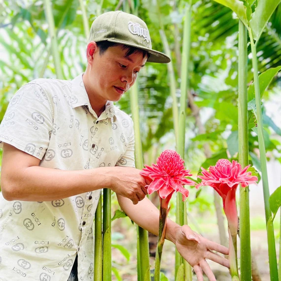Khởi nghiệp với sen Đa Lộc trên đất Tuy Phước