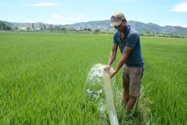 Dự báo, cảnh báo thời tiết trong tháng 5 trên địa bàn tỉnh Gia Lai