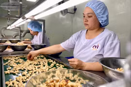 Thành lập Tổ rà soát số liệu đầu vào tính GRDP tỉnh Gia Lai