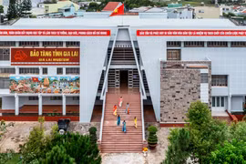 Tổ chức 2 triển lãm “Đường cách mạng-Đồng chí Hồ Chí Minh tại Trung Quốc”, “Di sản Hán-Nôm trên địa bàn tỉnh Gia Lai”