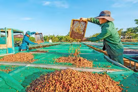 Gia Lai ban hành kế hoạch triển khai 9 nhiệm vụ, giải pháp trọng tâm để đạt mục tiêu tăng trưởng
