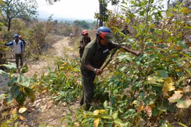 Gia Lai chủ động triển khai quyết liệt công tác phòng cháy, chữa cháy rừng