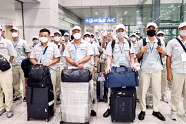 Phối hợp tuyển 1.000 lao động đi làm việc tại Hàn Quốc nghề Hàn và Khuôn mẫu