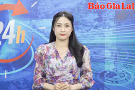 Gia Lai 24h: Đăng thông tin sai sự thật, 1 cá nhân bị Công an xử phạt