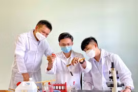 Gia Lai có 5 công trình/cụm công trình được đề nghị tặng Giải thưởng Khoa học và Công nghệ tỉnh năm 2024