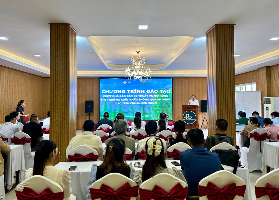 Quang cảnh buổi đào tạo. Ảnh: Hà Duy quang-canh-buoi-dao-tao-anh-ha-duy.jpg