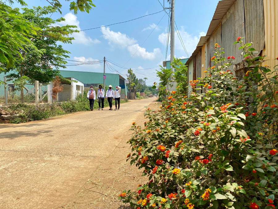 Con đường sạch, đẹp tại làng Bông Phrao (xã An Phú, TP. Pleiku). Ảnh: Hà Duy con-duong-sach-dep-tai-lang-bong-phrao-xa-an-phu-tp-pleiku-anh-ha-duy.jpg