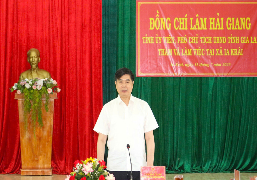 Phó Chủ tịch UBND tỉnh Gia Lai Lâm Hải Giang phát biểu tại buổi làm việc. Ảnh: Hà Duy pho-chu-tich-ubnd-tinh-lam-hai-giang-phat-bieu-chi-daao-tai-buoi-lam-viec-anh-ha-duy.jpg