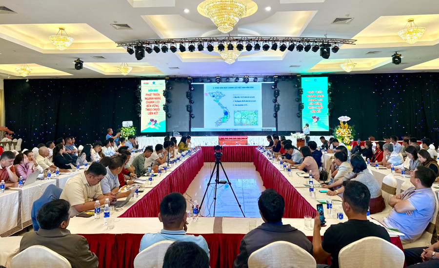 Prostředí fóra. Foto: Ha Duy quang-canh-dien-dan-anh-ha-duy.jpg