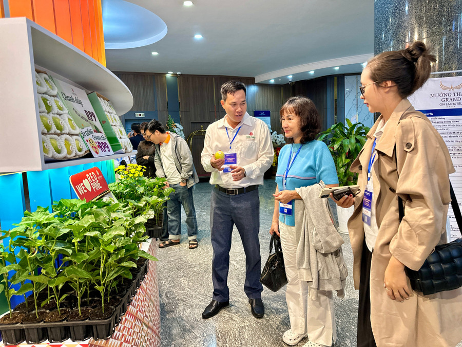 Gian hàng trưng bày cây giống và các sản phẩm khác của Công ty cổ phần quốc tế Thông Đỏ (xã Chư Pưh). Ảnh: Hà Duy gian-hang-trung-bay-cay-giong-va-cac-san-pham-khac-cua-cong-ty-co-phan-quoc-te-thong-do-anh-ha-duy.jpg