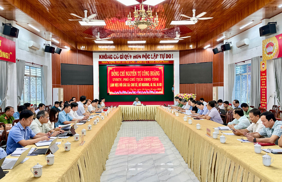 Quang cảnh buổi làm việc. Ảnh: Hà Duy quang-canh-buoi-lam-viec-anh-ha-duy.jpg