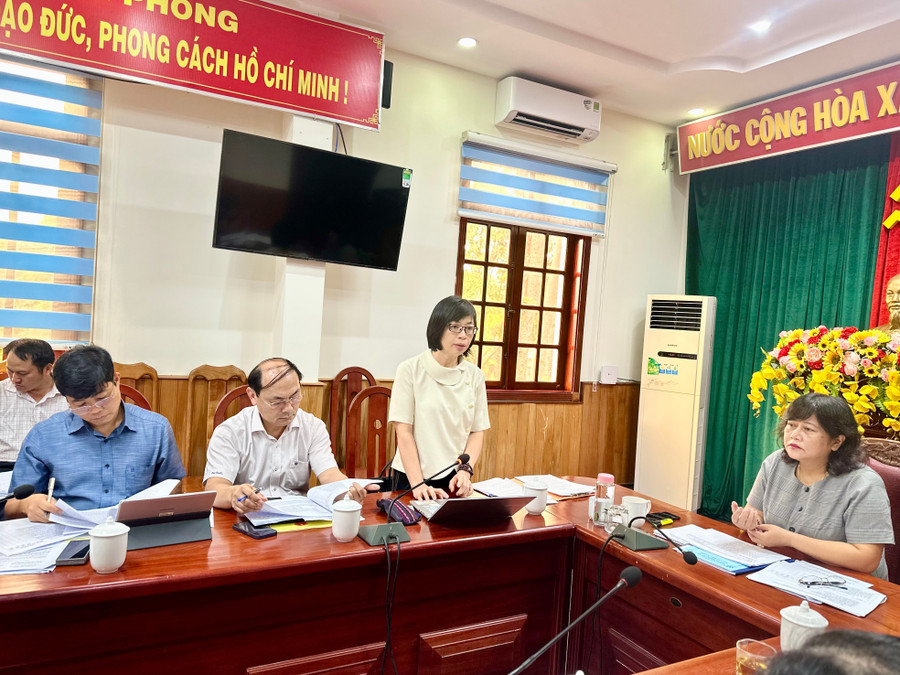 Phó Chủ tịch UBND tỉnh Nguyễn Thị Thanh Lịch phát biểu tại buổi giám sát. Ảnh: Hà Duy tempimageuscpk1.jpg