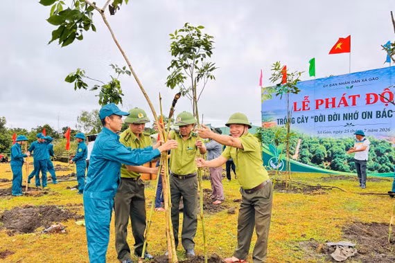 Xã Gào trồng 400 cây xanh hưởng ứng “Tết trồng cây đời đời nhớ ơn Bác Hồ”