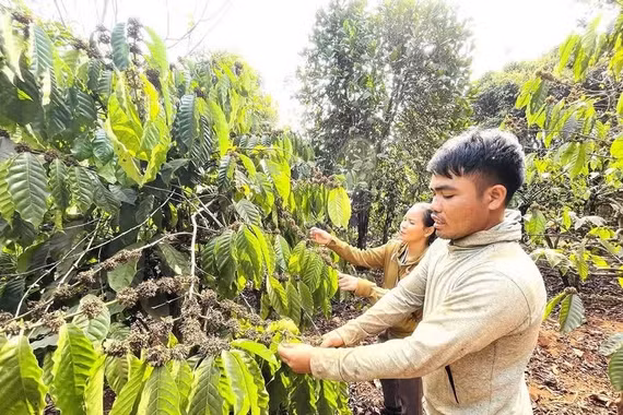Đổi nếp nghĩ, cách làm để thoát nghèo bền vững