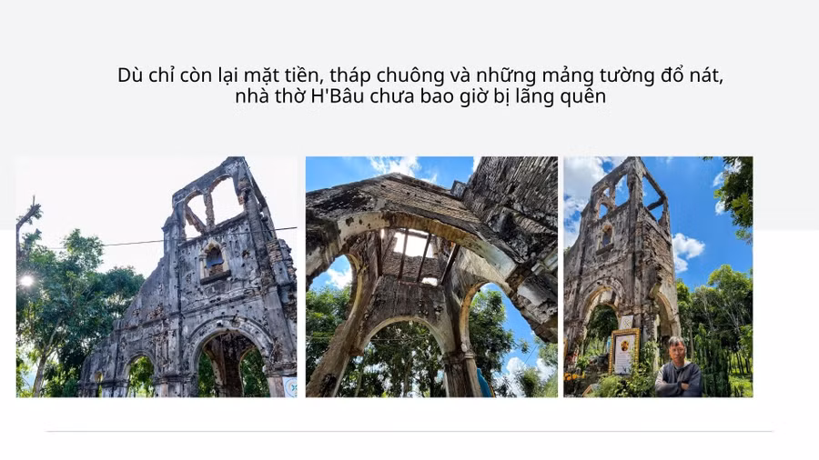 mua-reu-xanh-o-nhon-hai-da-tro-thanh-diem-check-in-quen-thuoc-cua-du-khach-nhat-la-vao-dip-tet-anh-doan-ngoc-1.jpg