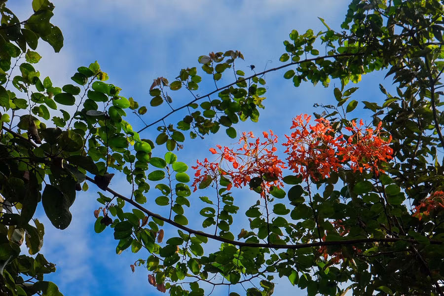 dscf9634.jpg