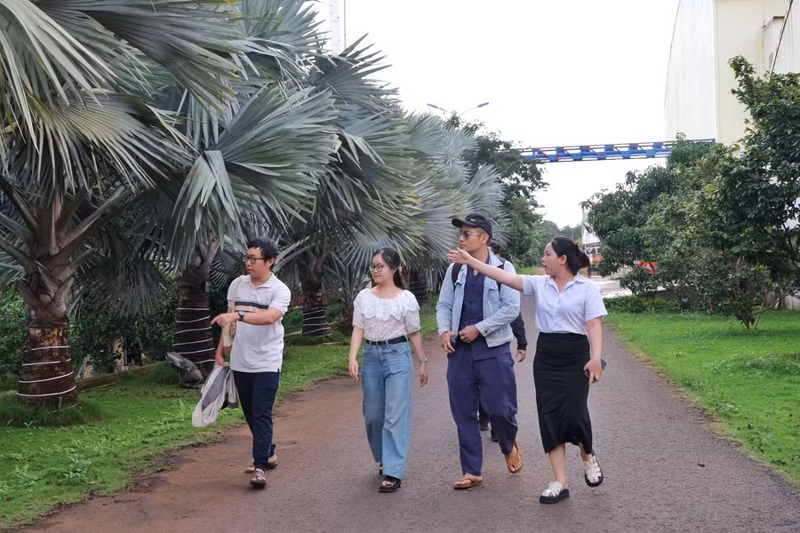 du-khach-di-duoi-hang-cay-ke-bat-mot-loai-duoc-lieu-lam-thuoc-sat-trung-vua-tao-canh-quan-cho-diem-du-lich.jpg