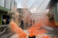 Gia Lai: Diễn tập chữa cháy, cứu nạn cứu hộ tại các doanh nghiệp.