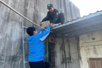 Trung đoàn Cảnh sát cơ động Nam Trung bộ hỗ trợ chằng chống nhà cửa cho người dân xã Tuy Phước. Ảnh: N.L