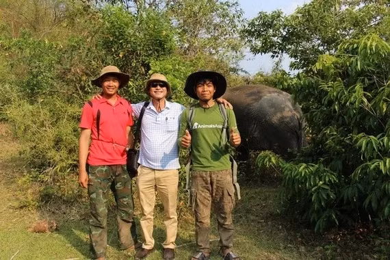 Vào rừng sâu Liên Sơn Lắk tìm voi sống tự do giữa đại ngàn Tây nguyên