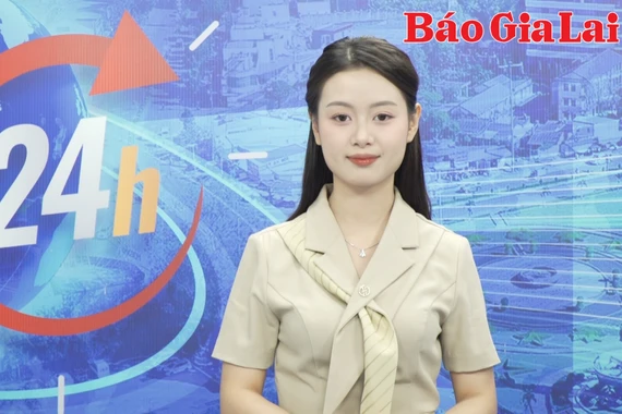 Gia Lai 24h: Giá hồ tiêu tăng cao, cơ hội “vàng” để phát triển sản xuất bền vững