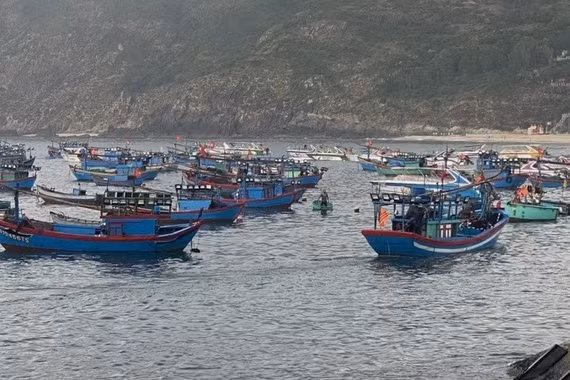 Hỗ trợ sinh kế cho ngư dân, phát triển kinh tế biển bền vững 