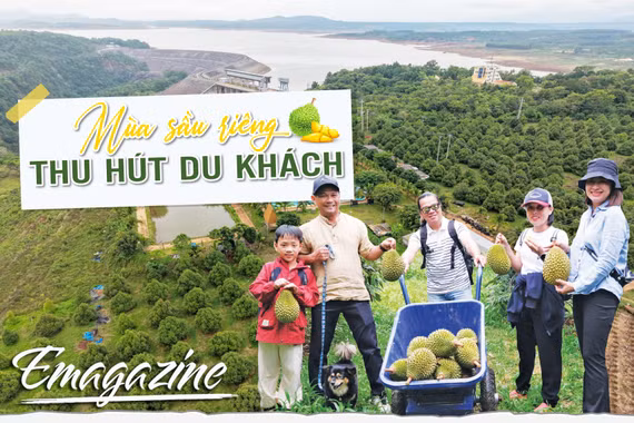 Mùa sầu riêng thu hút du khách