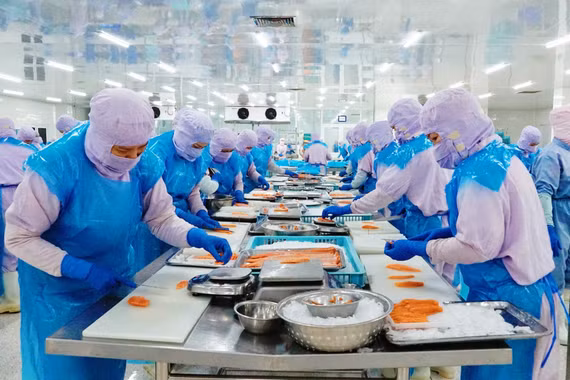 Nhiều khởi sắc ở ngành hàng chế biến 