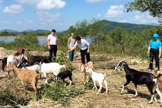 Trợ lực cho người lao động tạo sinh kế bền vững