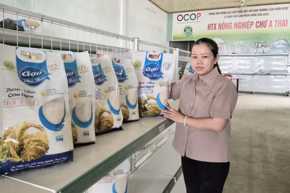 Xây dựng thương hiệu gạo: Nâng cao giá trị, tạo thuận lợi đầu ra 