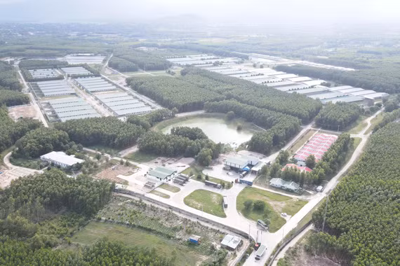 Thu hút đầu tư vào chăn nuôi gắn với bảo vệ môi trường 