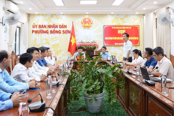 Festival Sinh vật cảnh Bồng Sơn và Bồng Sơn Half Marathon 2026: Cơ hội khám phá những nét đặc sắc của địa phương. 