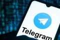 Phản ứng của Telegram về việc sắp bị chặn tại Việt Nam