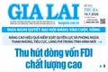 Báo Gia Lai số thứ ba ngày 14-7-2026