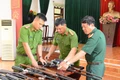 Hiệu quả từ mô hình đổi vũ khí lấy giống cây trồng, vật nuôi