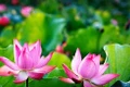 Tháng năm nhớ Người