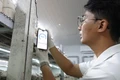 Chàng trai thu lãi hàng trăm triệu đồng nhờ nấm mối đen