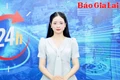 Gia Lai 24h: Minh bạch sản xuất-điều kiện bắt buộc để trái cây tươi xuất ngoại 