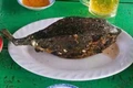 Chủ tịch tỉnh Khánh Hòa chỉ đạo 'nóng' vụ bán cá bò hòm 3,5 triệu đồng/kg