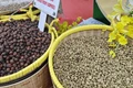 Giá cà phê hôm nay 17-5: Giảm mạnh tới 3 con số