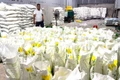 Điều tra công ty nghi sản xuất phân bón giả ở Đồng Nai