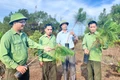 Đòn bẩy để phát triển lâm nghiệp bền vững