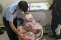 Đắk Lắk phát hiện gần 400kg thịt heo đông lạnh không rõ nguồn gốc, xuất xứ