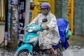 Tháng 6, TPHCM và Nam bộ mưa dông gia tăng