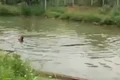 Hai cháu nhỏ chết đuối thương tâm dưới hồ nước tưới cà phê