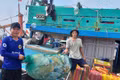 Giữ biển xanh, vững bước hội nhập nghề cá